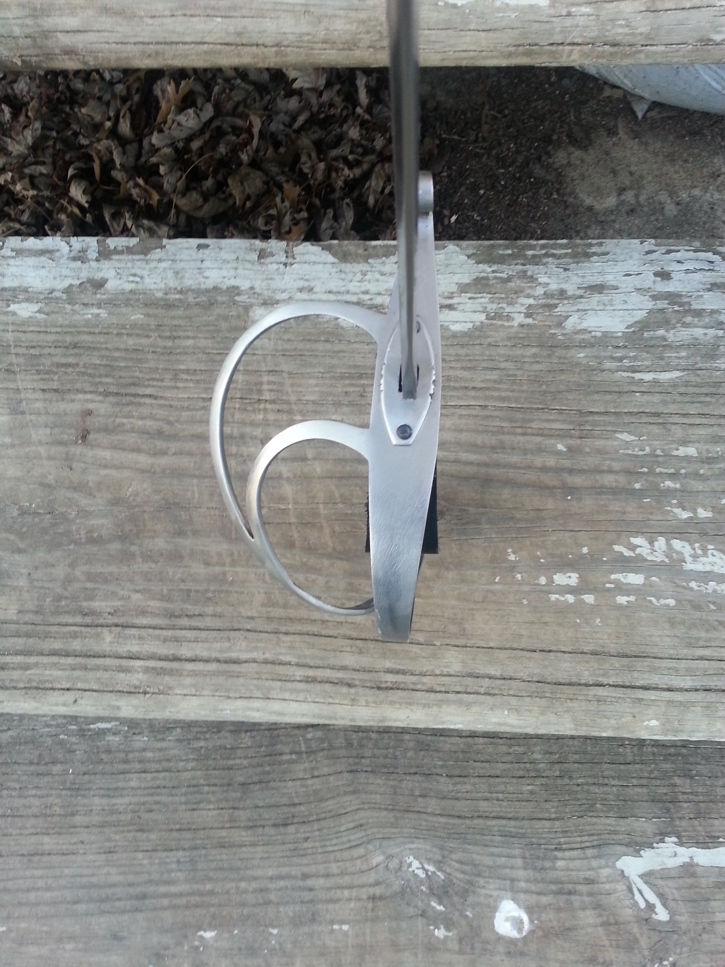 20130211_171127.jpg