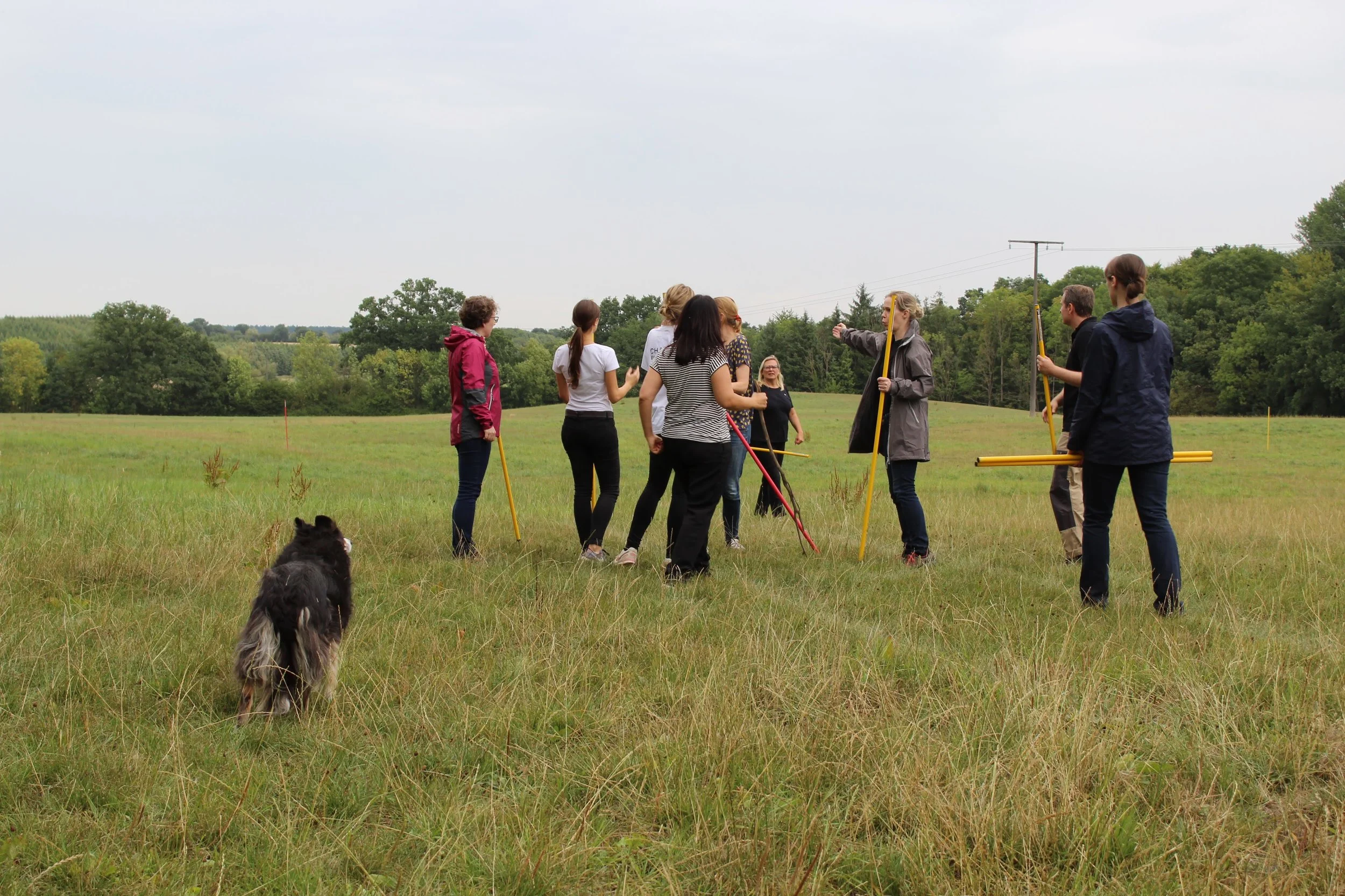 Team Building 2019: High Tech High Touch und a la Carte