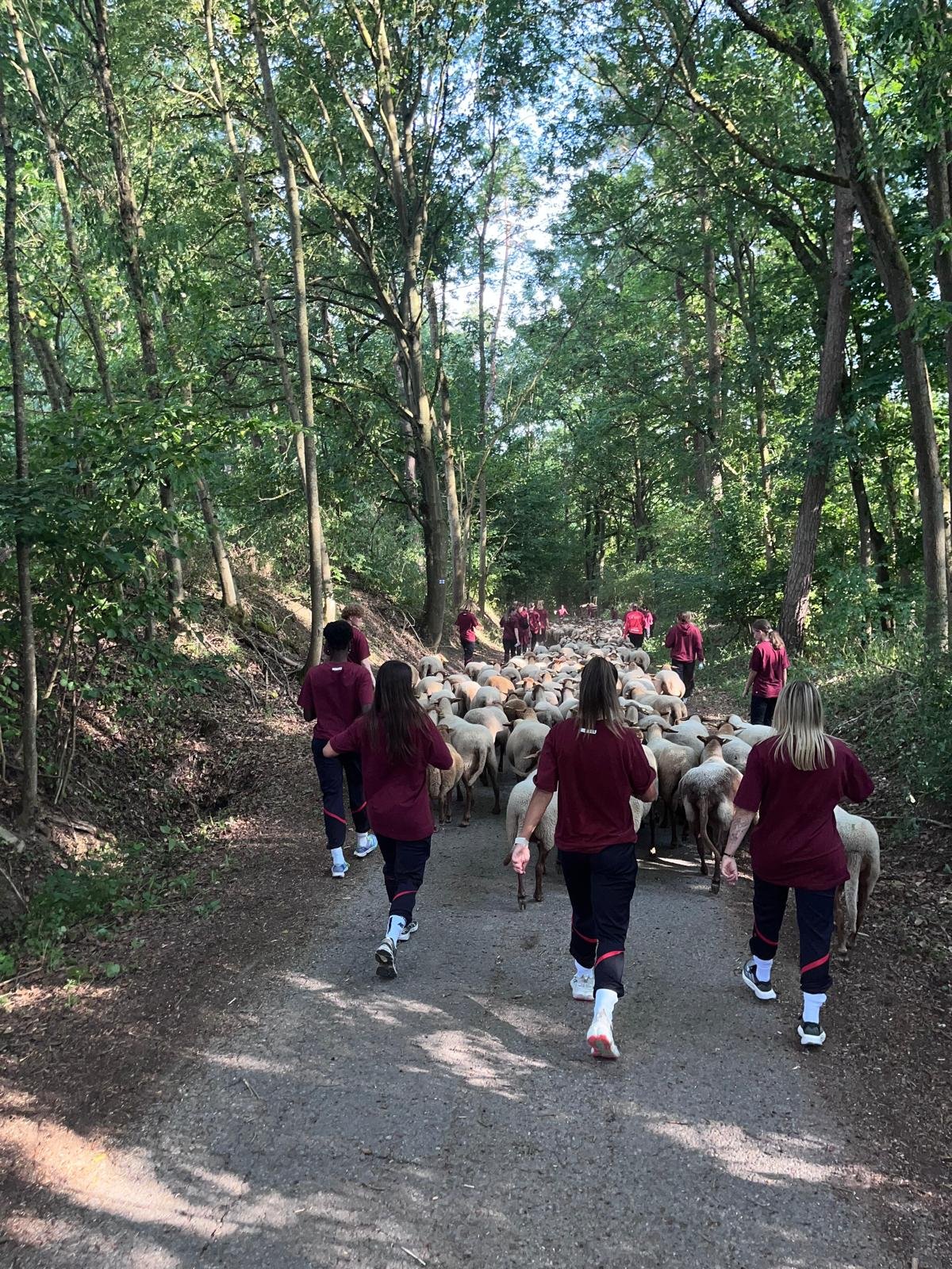 Bayer 04 Leverkusen Bundesliga-Frauen beim Schafehüten Teambuilding in Neuhof an der Zenn