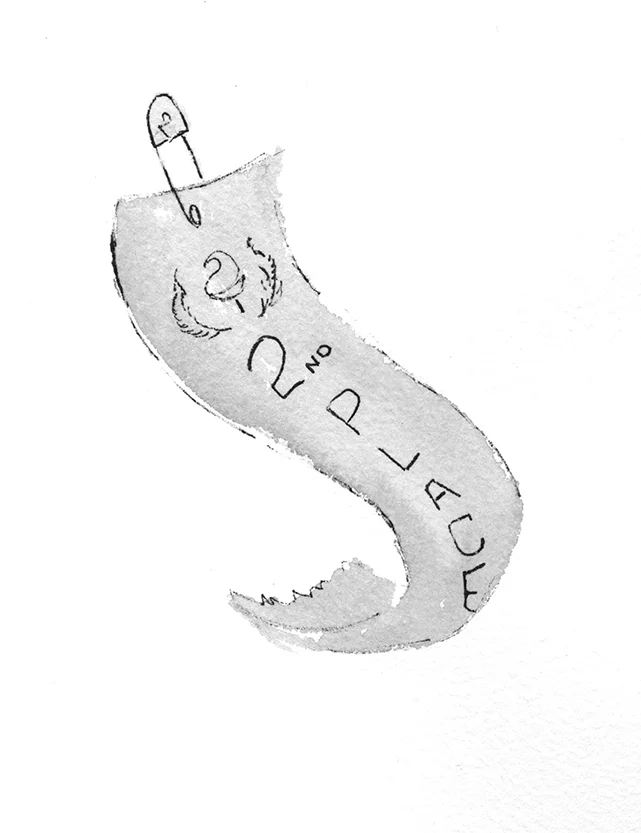 Hanlon second place sm.jpg