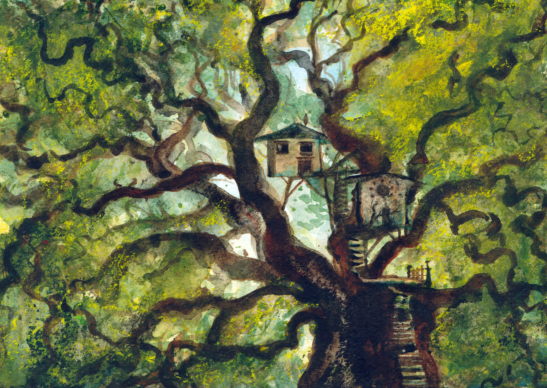 Oak Tree-House