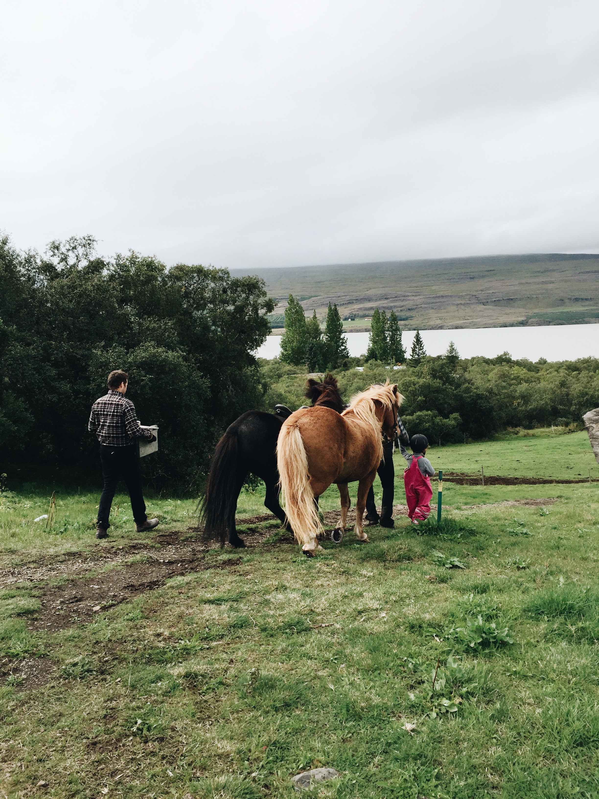Hallormsstaður National Forest