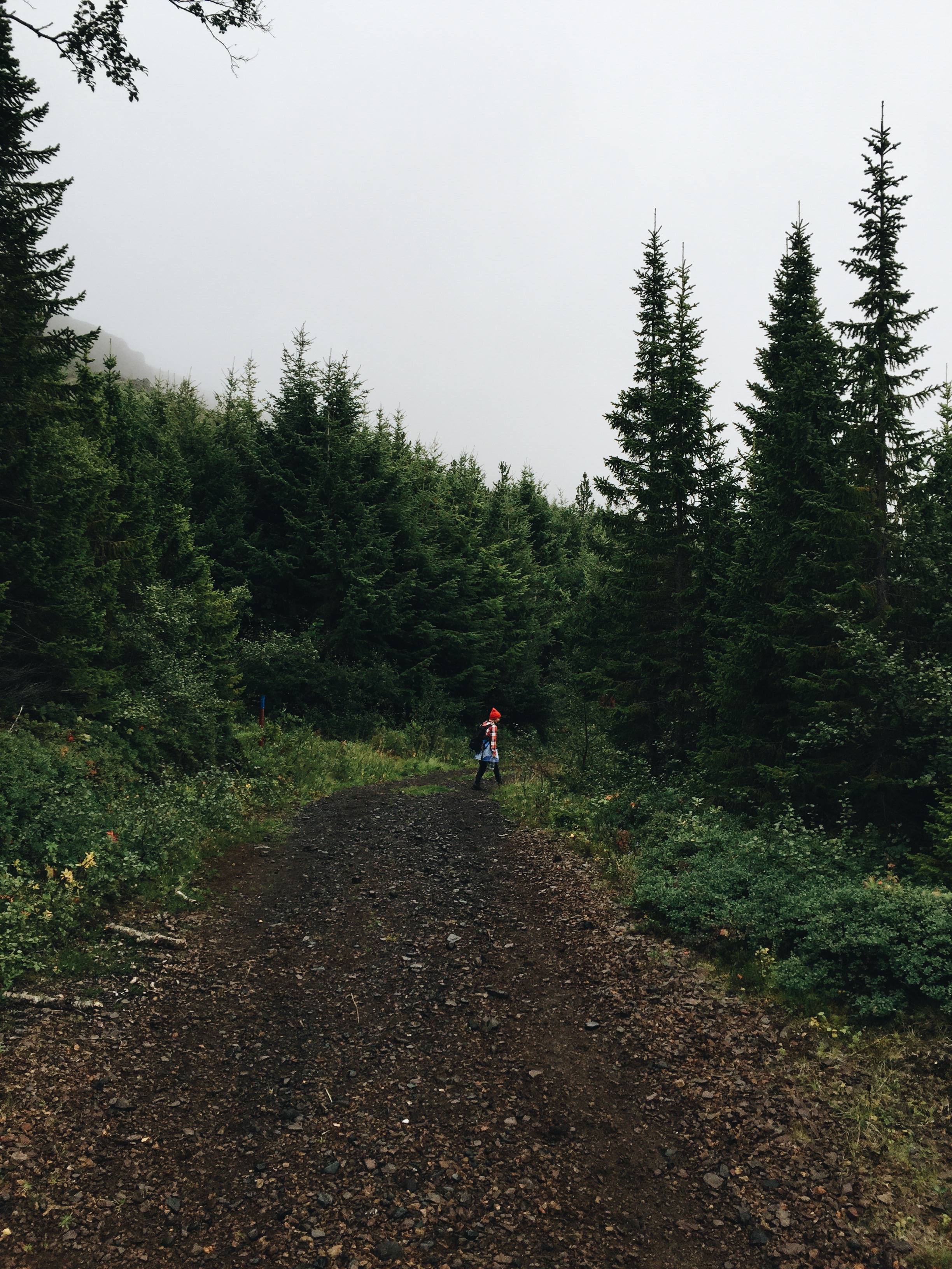 Hallormsstaður National Forest
