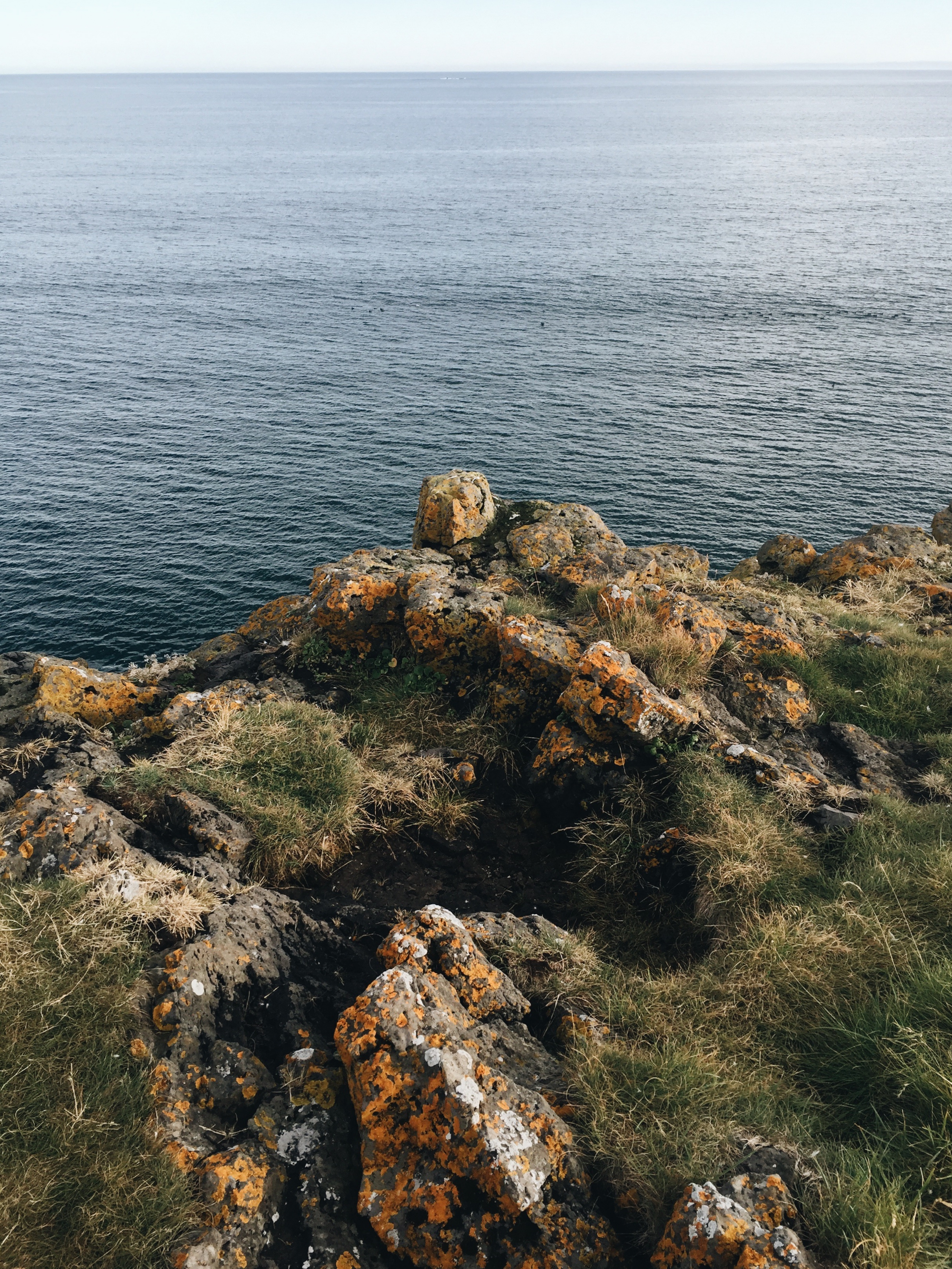 Coastline at Arnarstapi
