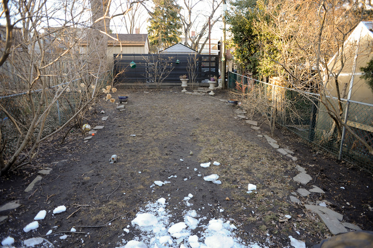 BEFORE PHOTO