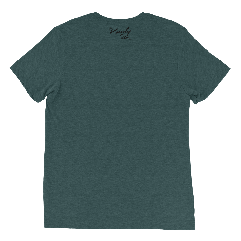 Classic-T-Shirts-(Black-Logo)_mockup_Flat-Back_Emerald-Triblend.png
