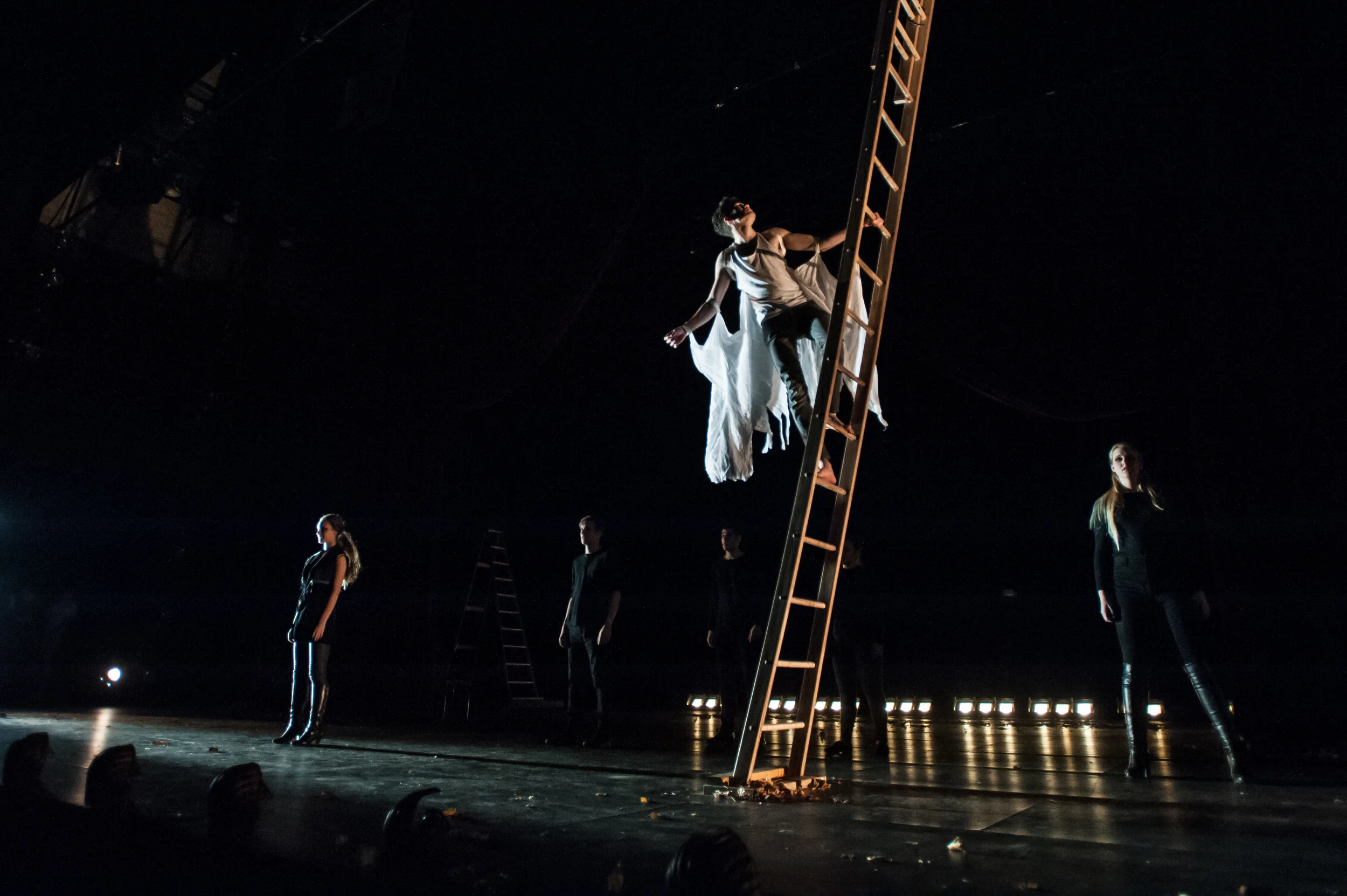 2014_Pippin_048.jpg