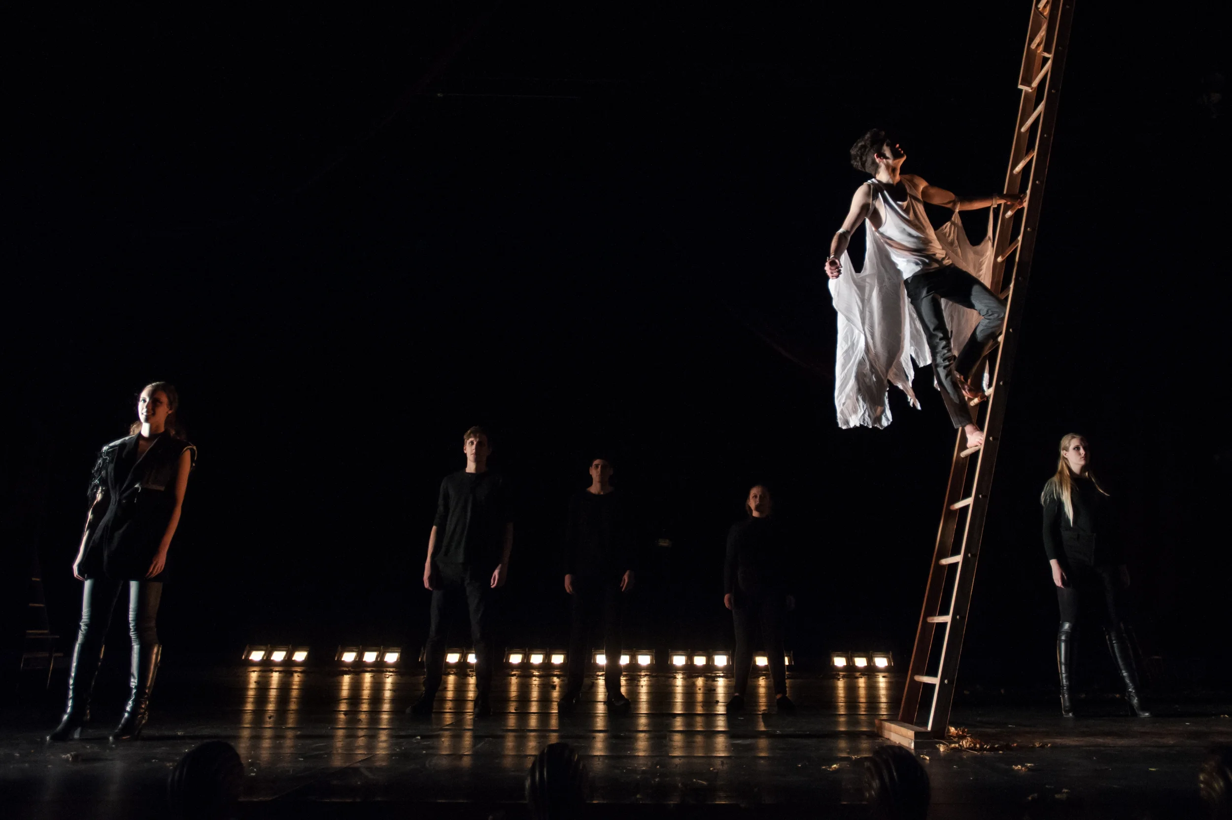 2014_Pippin_049.jpg
