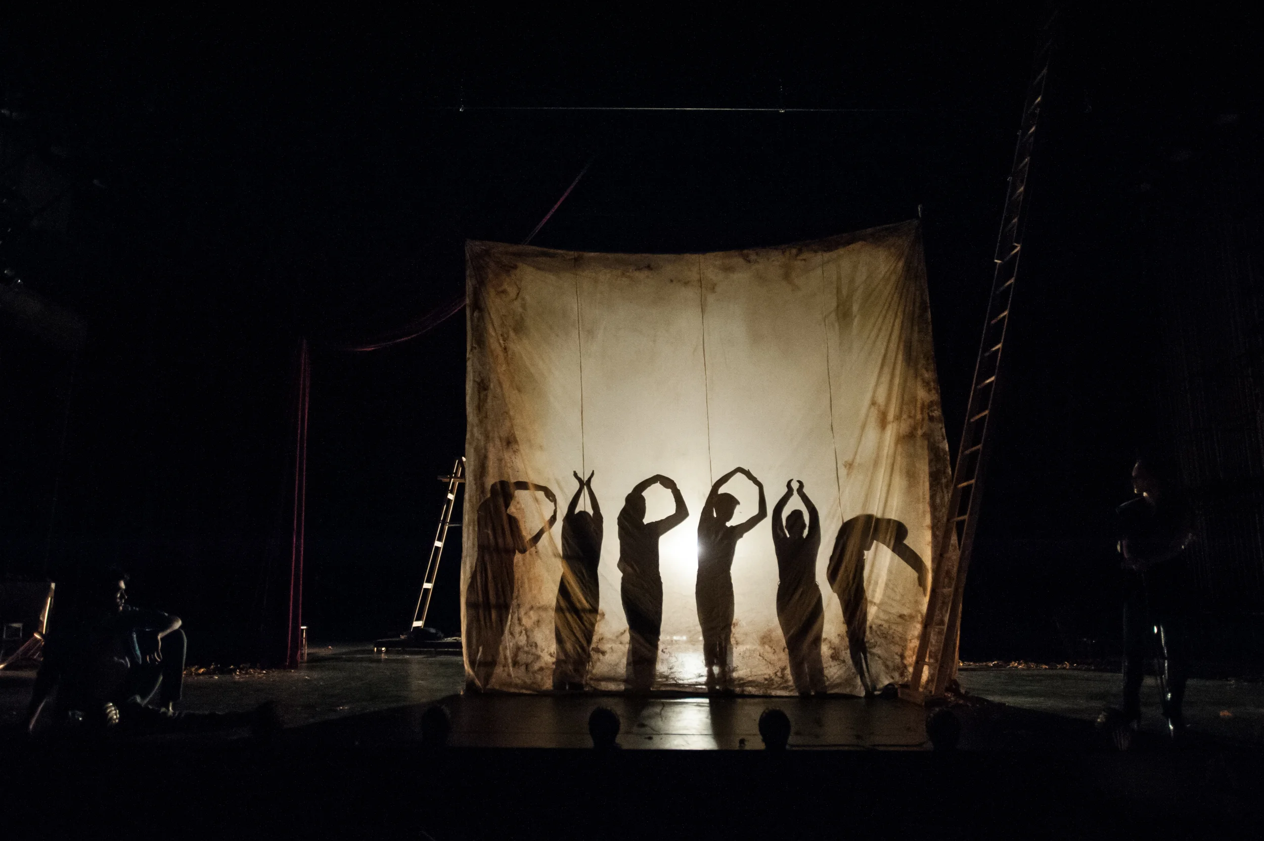 2014_Pippin_041.jpg