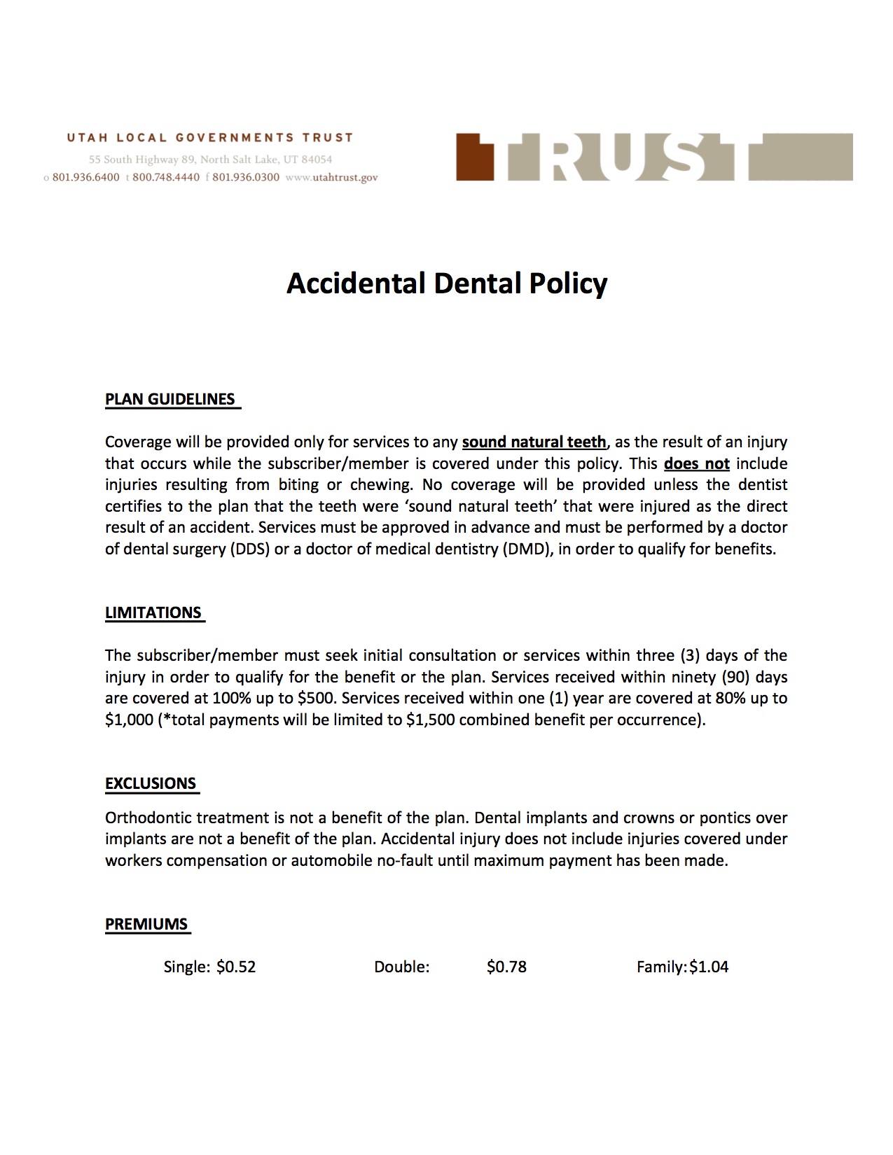 Accidental Dental Flyer