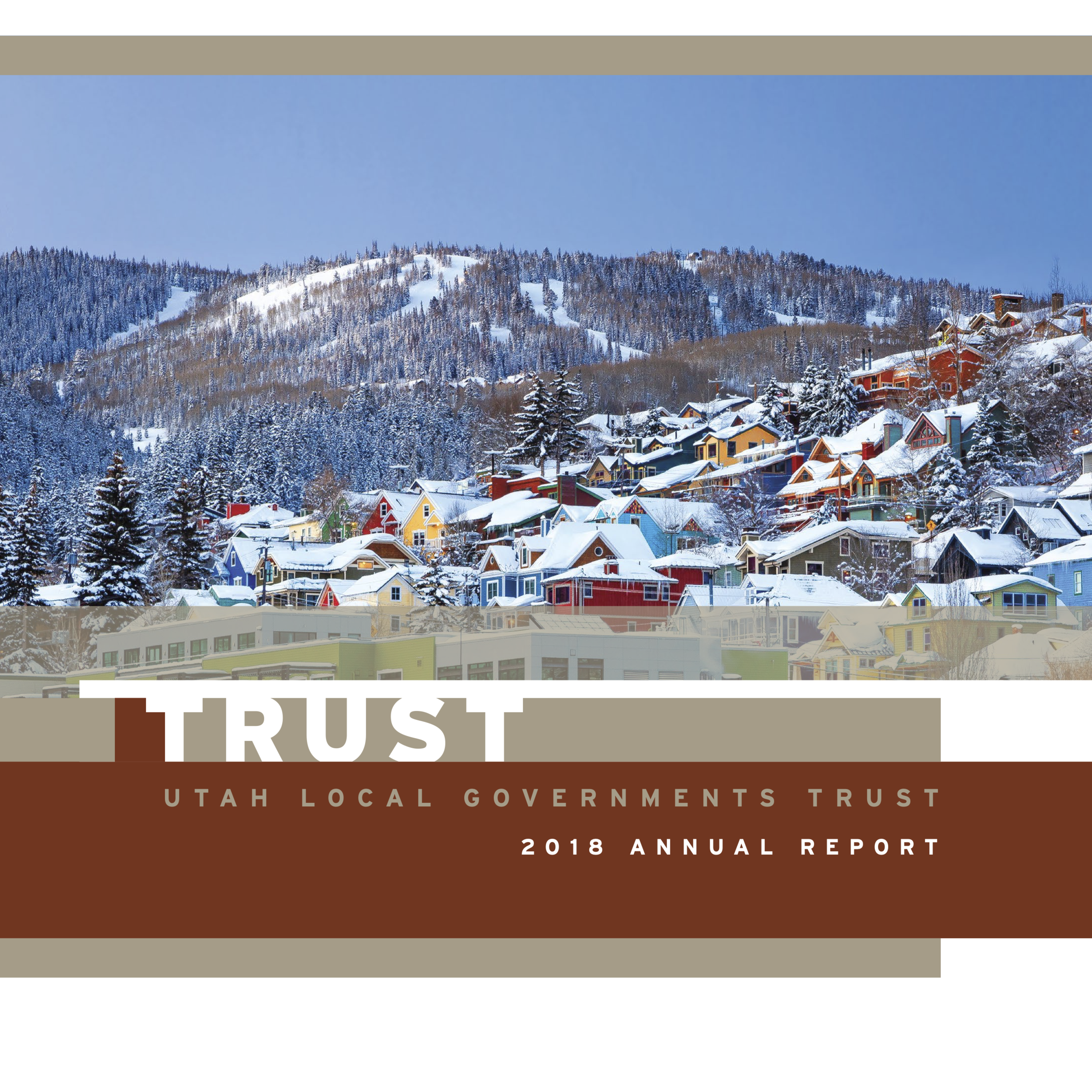 Trust Annual Report 2018 page.png