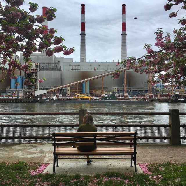 Finally wandered over to Roosevelt Island!