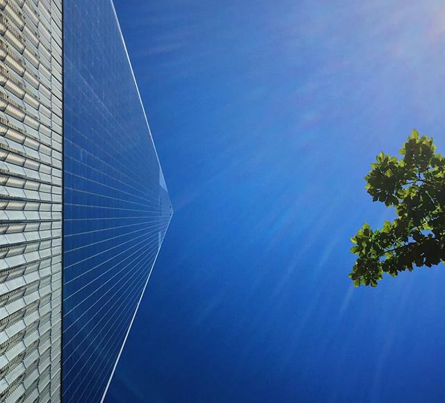 Look up! 🙄
.
.
.
.
.
.
.
.
.
.
.
.
.
.
.
#nyc #lookup #wtc #reflection #bluesky #nycexplorers