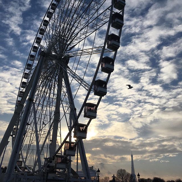 Allez les Bleus!
.
.
.
.
.
.
.
.
.
.
.
.
.
.
.
.
#paris #parisjetaime #sunset #coucherdesoleil #ig_exquisite #ig_snapshots