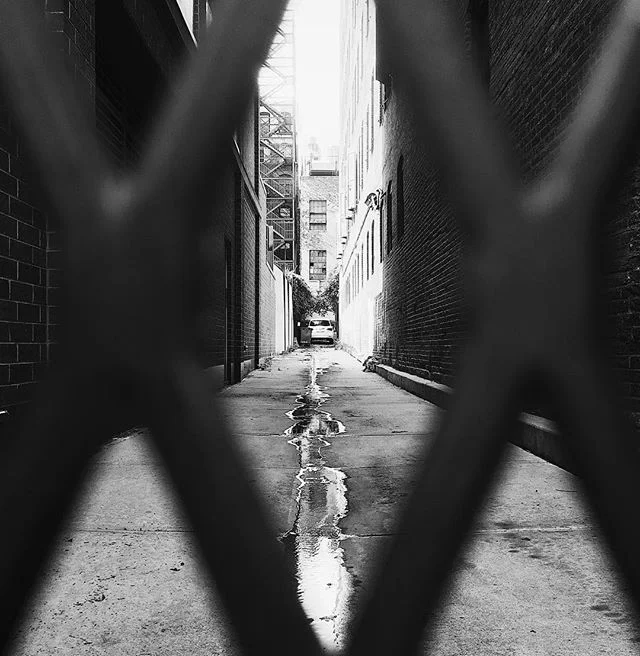 Covered a lot of steps today!