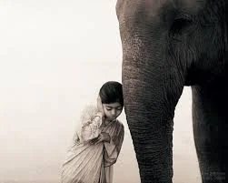 A gentle hand may lead even an elephant by a hair. ~ Iranian proverb Photograph by Gregory Colbert I have found that people's psyches and bodies respond well to gentleness. A gentle message for today ~ you are lovely just the way you are. Relax. Or not ;-)