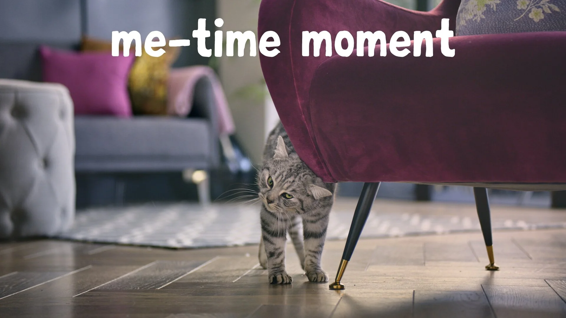 whiskas_web.jpg