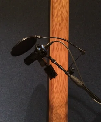 Sony GPAC C800 tube microphone