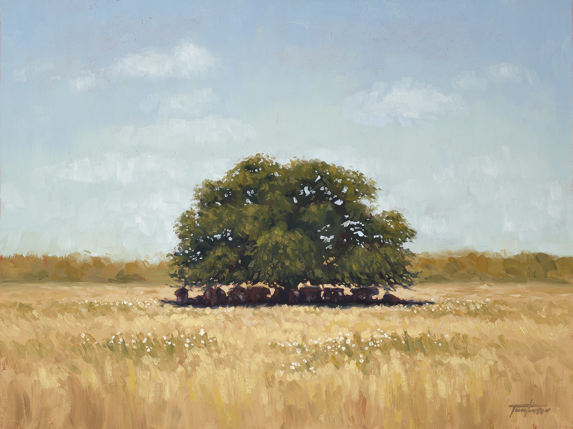Summer Shade II (2022) 11x14in Oil on Linen.png