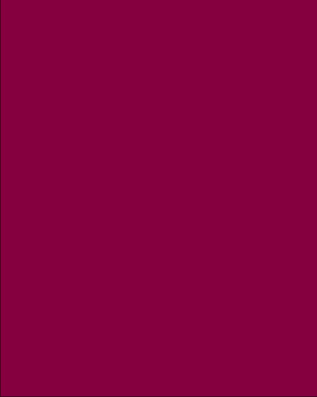 VISA_DATAGIF_4x5_CanStop.gif