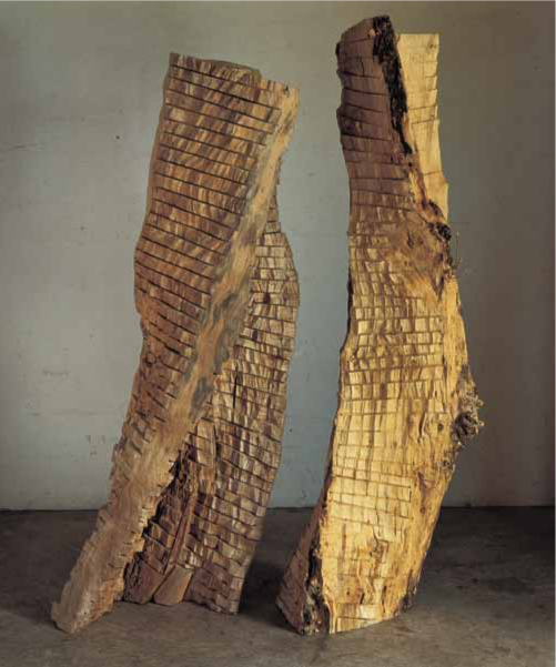 Apollo and Daphne , 1994. Box elder, dimensions variable, Apollo (left): 108 x 42 x 36 inches, Daphne (right): 114 x 42 x 36 inches. Corcoran Gallery of Art, Washington, D.C.