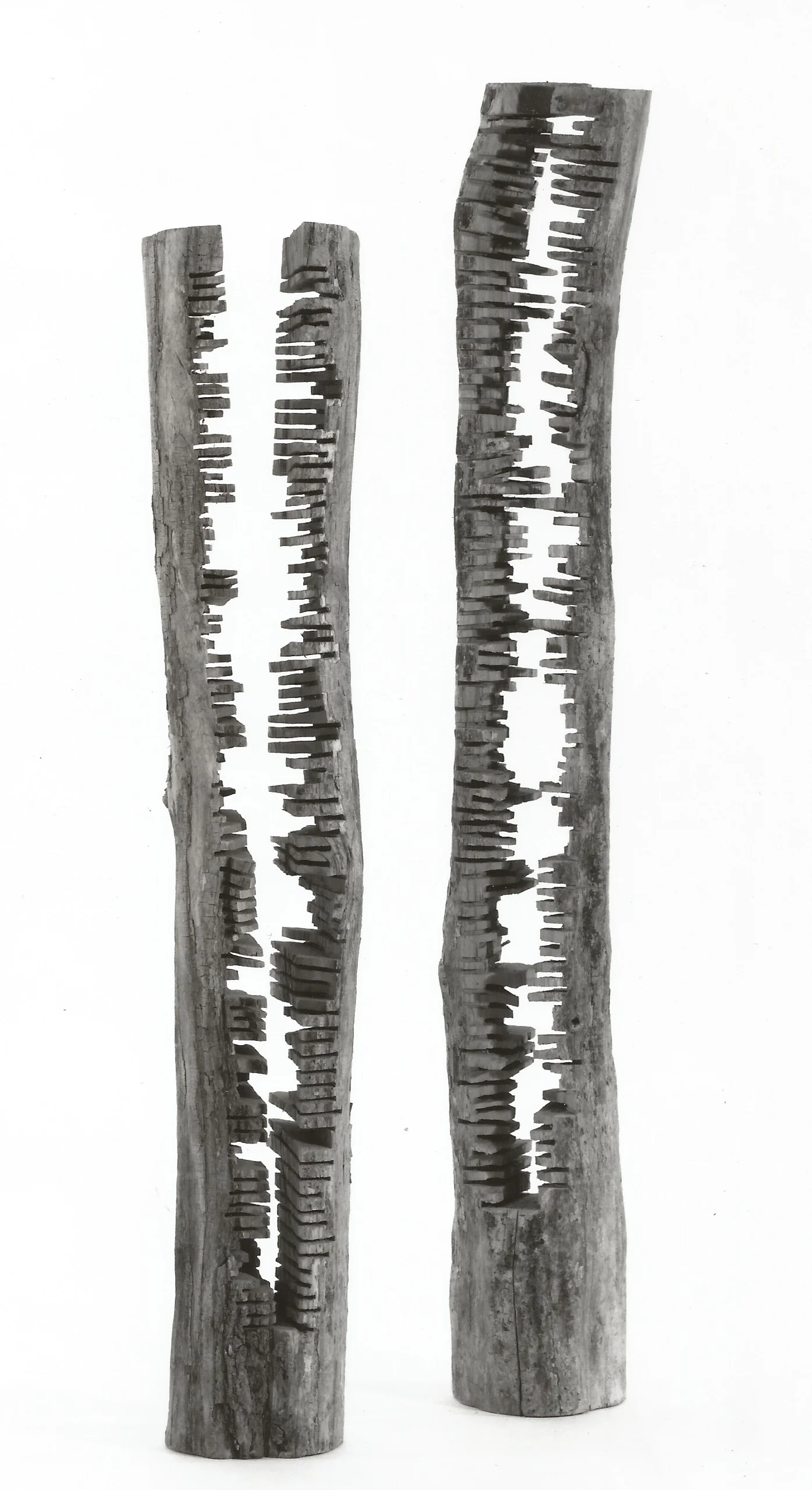 Totems , 1988, locust. Shorter: 77 inches in height, 14 inches in diameter; Taller: 88 inches in height, 11 inches in diameter.
