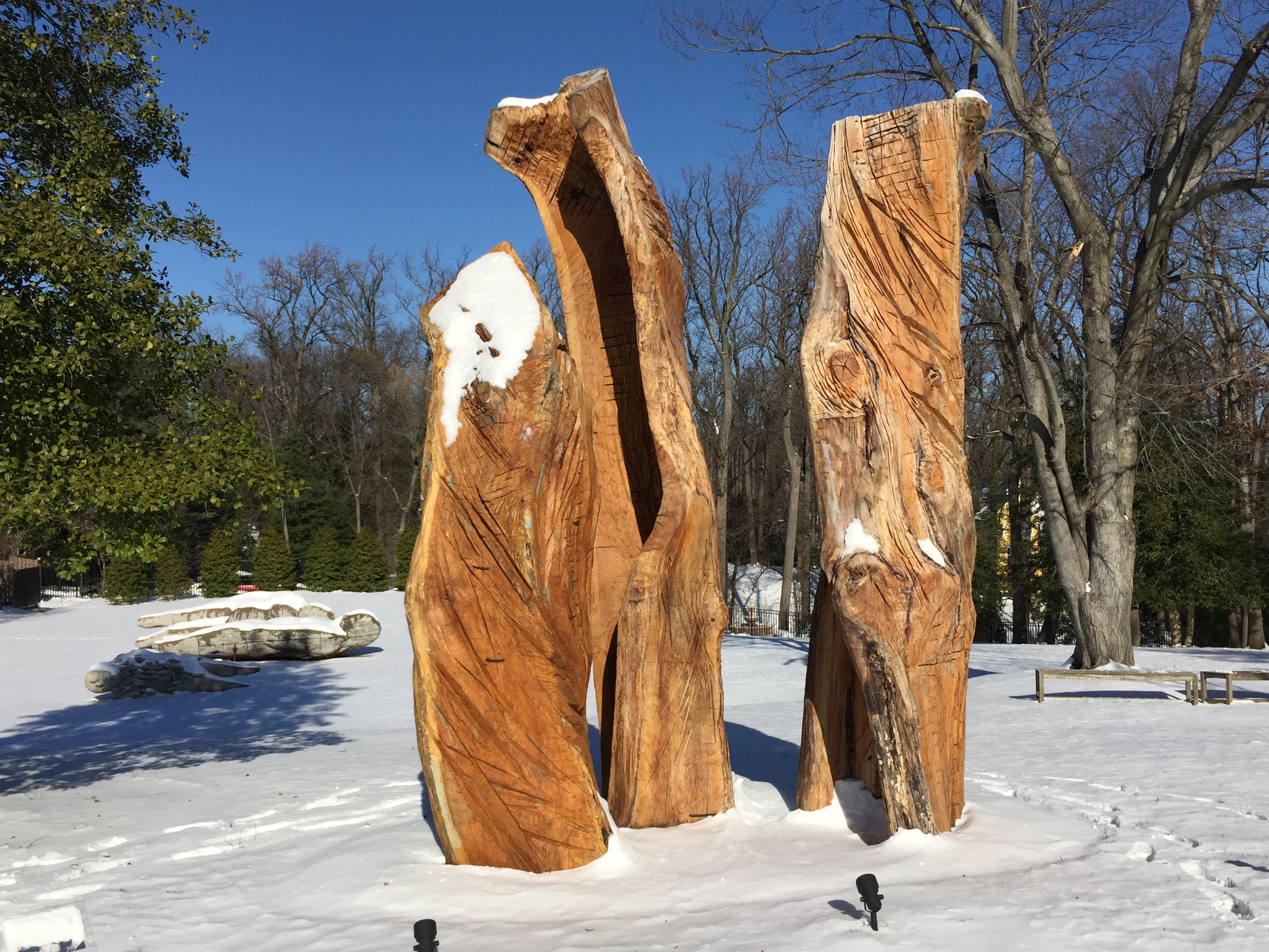 Lament grieves in the winter scene on the grounds of the Kreeger Museum.