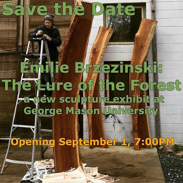 Save the Date 9/1/16 - new #sculpture exhibit featuring many recent and past works at @georgemasonu School of Arts Fine Arts Gallery. #wood #woodworking #nature #art #gmu #dcevents