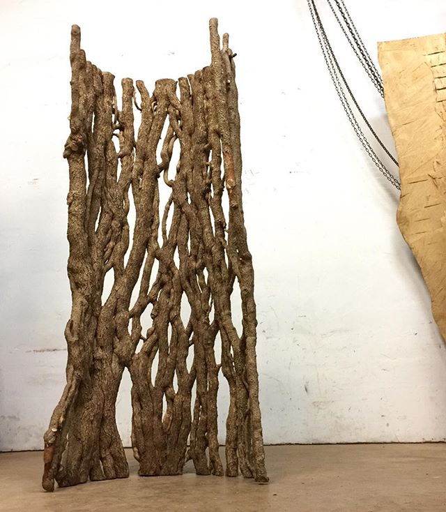 My &quot;Ivy Web&quot; stands strong. Got it from a neighbor down the road. Aren't the vines incredible? I peeled these carefully from an ancient oak! #NatureasArt #Sculpture #Nature #Vines #ivy