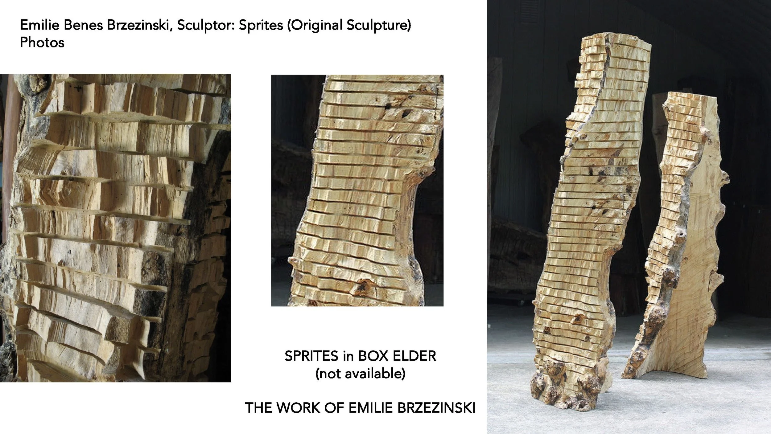 Sprites Sculpture- Fact Sheet — BRZEZINSKI ART