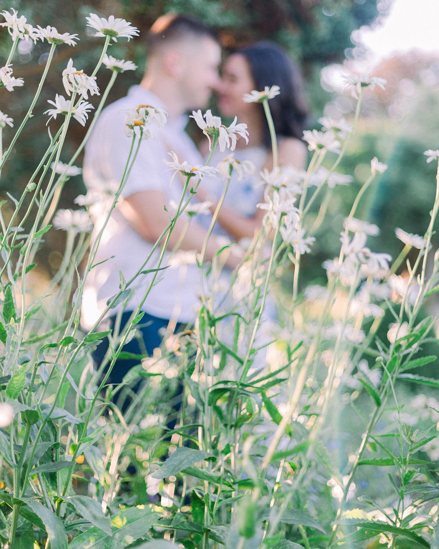 When it is as cold as it is today, I often look back through warm weather session. Anyone else?
Molly and Jordan had the most dreamy light for their engagement session this past summer. #takemebackimcold