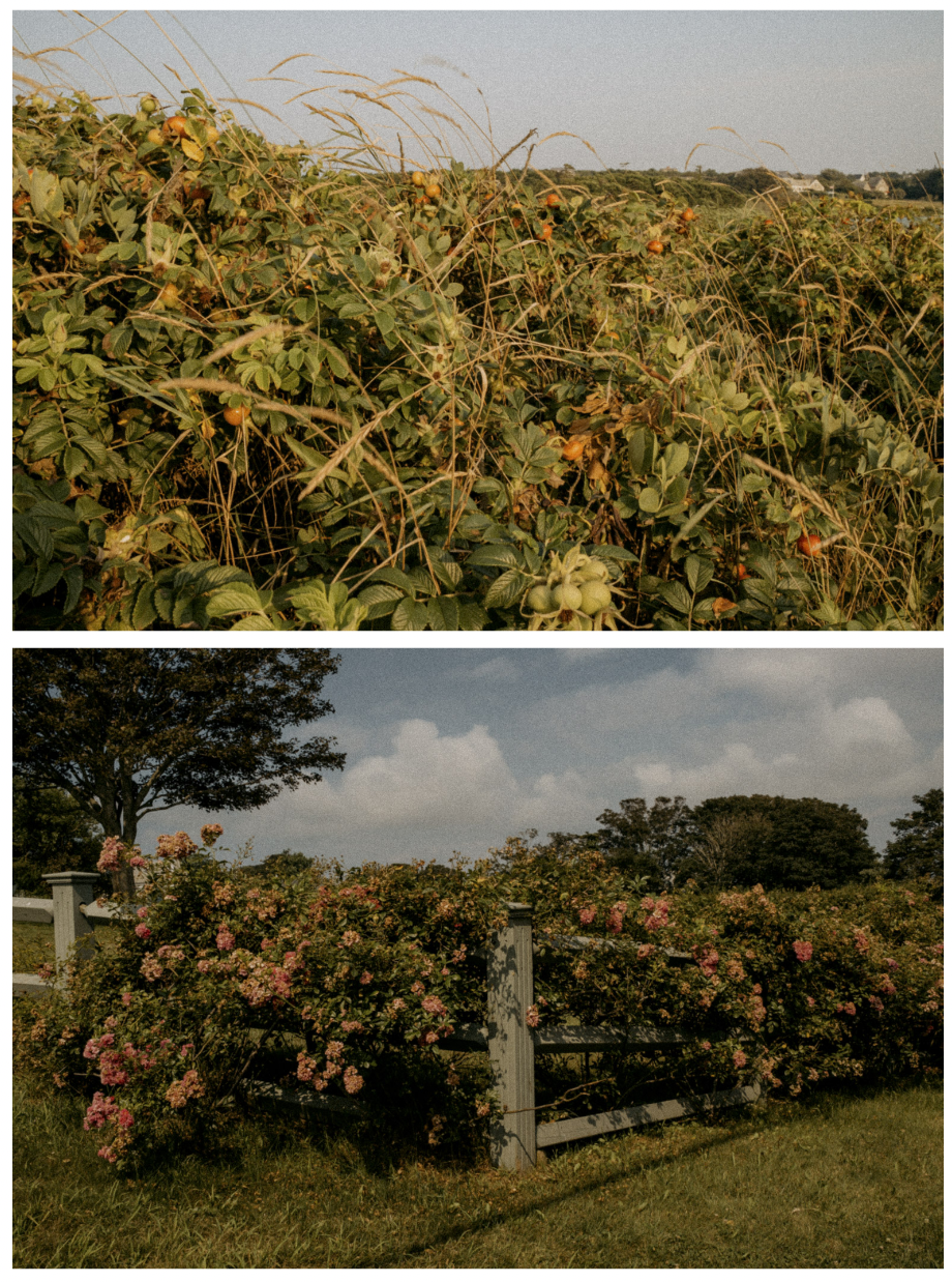 Screen Shot 2023-02-23 at 2.22.55 PM.png