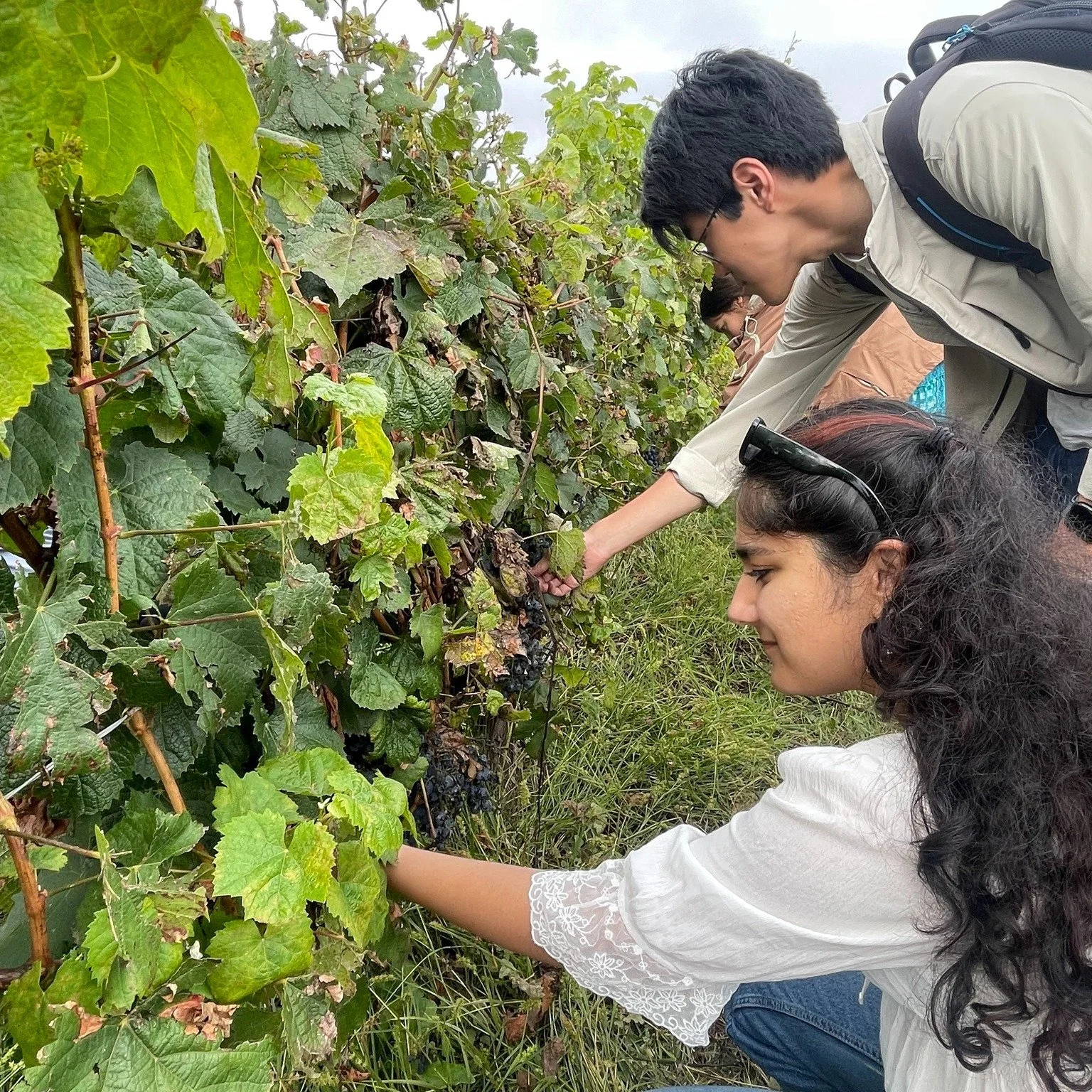 Exciting news! 🍷 We're thrilled to partner up with the University of Pennsylvania Penn Abroad once more for a new program in Mendoza, Argentina's wine capital. This unique experience combines professional development with the rich wine culture of th