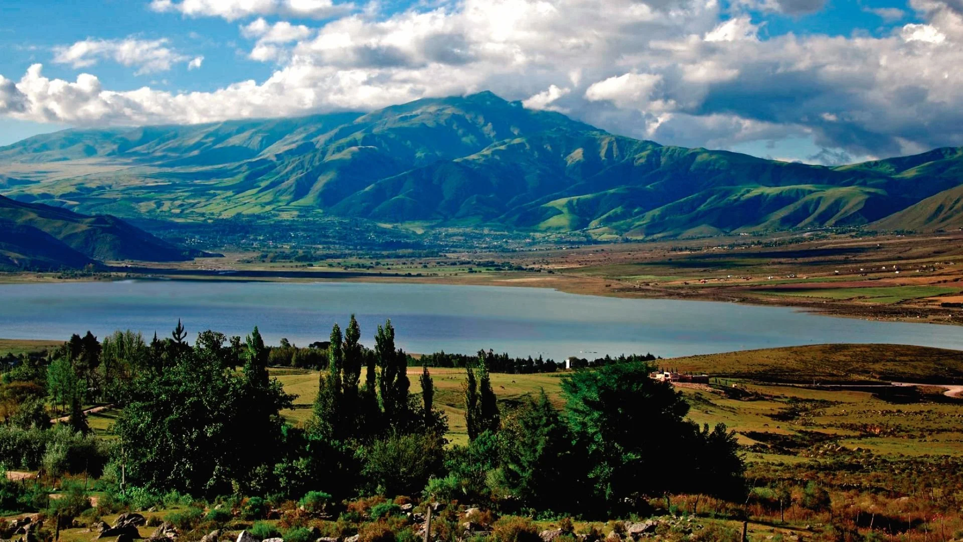 tafi_del_valle_cmyk.jpg