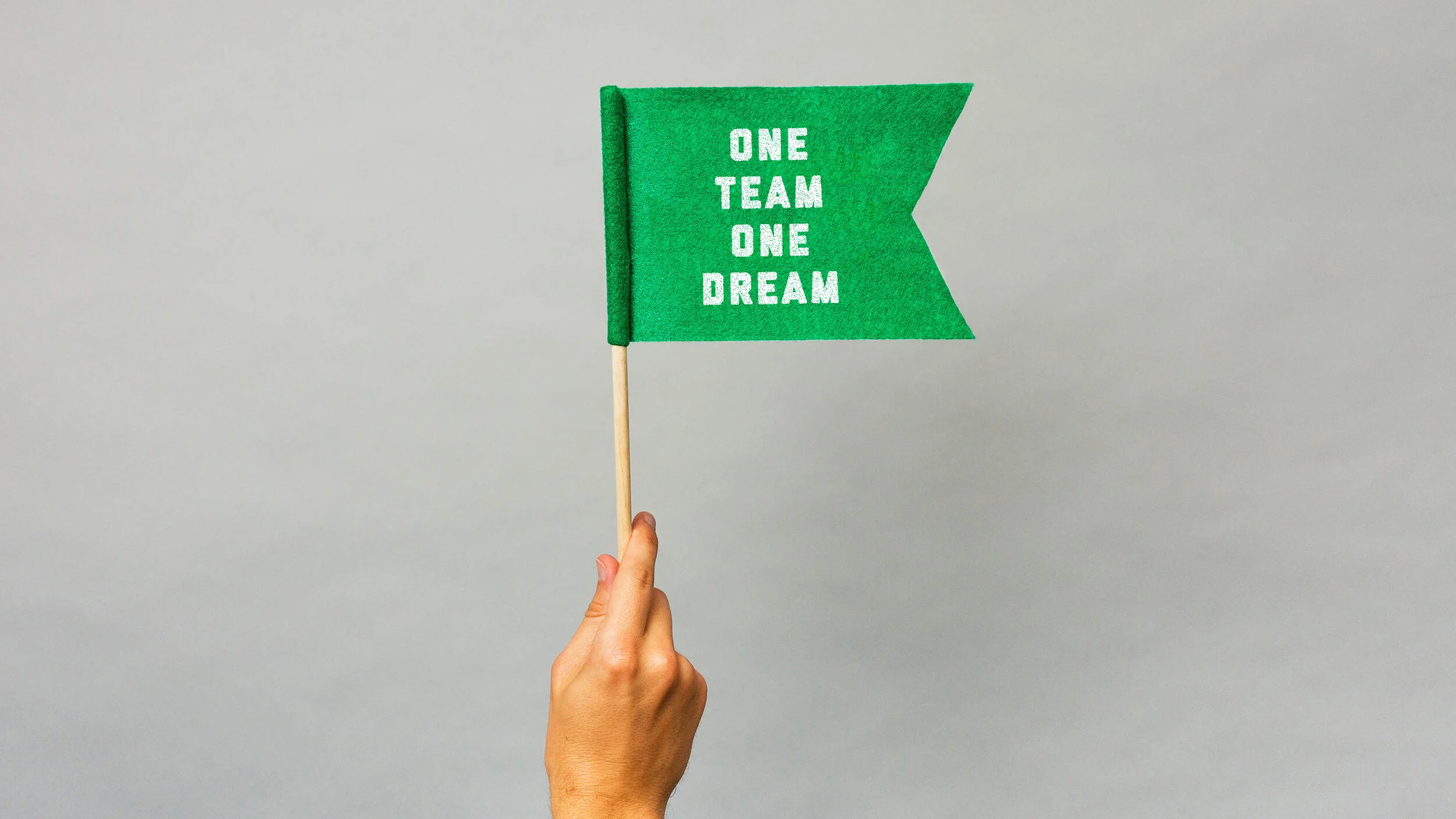 DTP2020_HandFlag.jpg