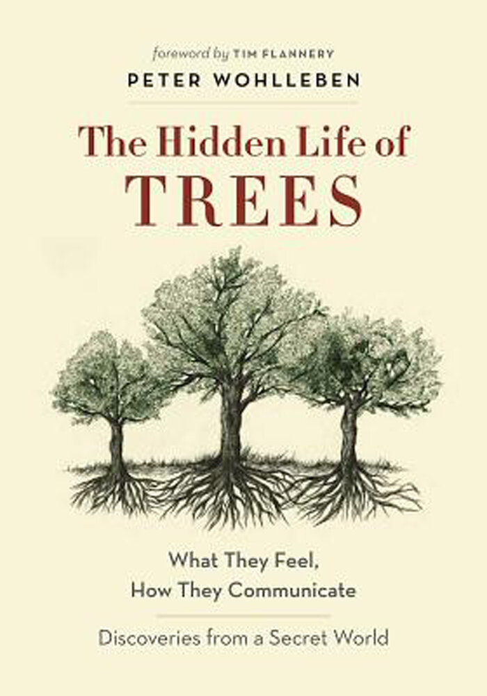 The Hidden Life of Trees by Peter Wohlleben