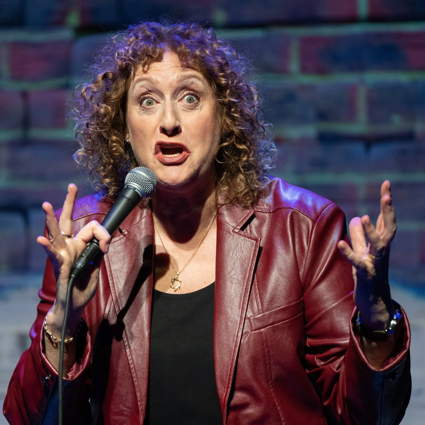 Judy Gold's Yes, I Can Say That!