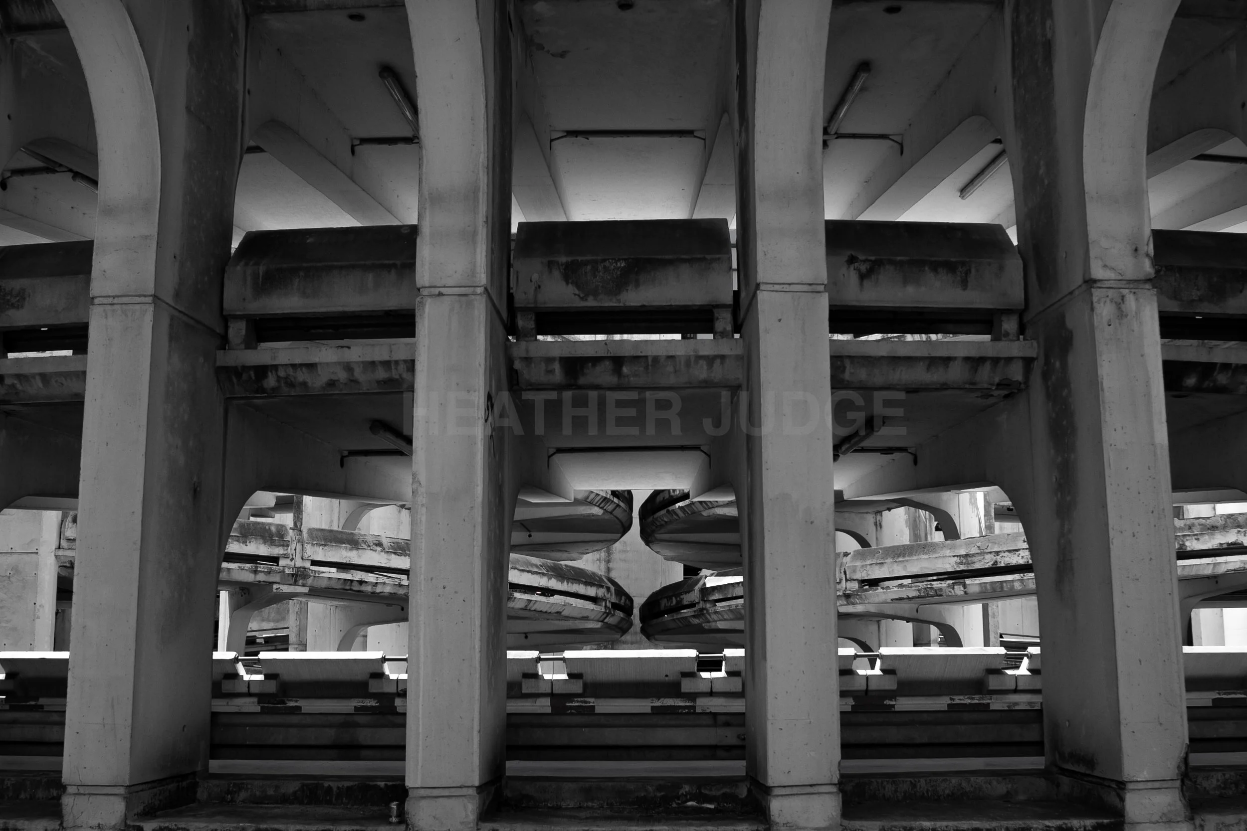 DOUBLE HELIX PORTRAIT PRINT LANDSCAPE 2 print