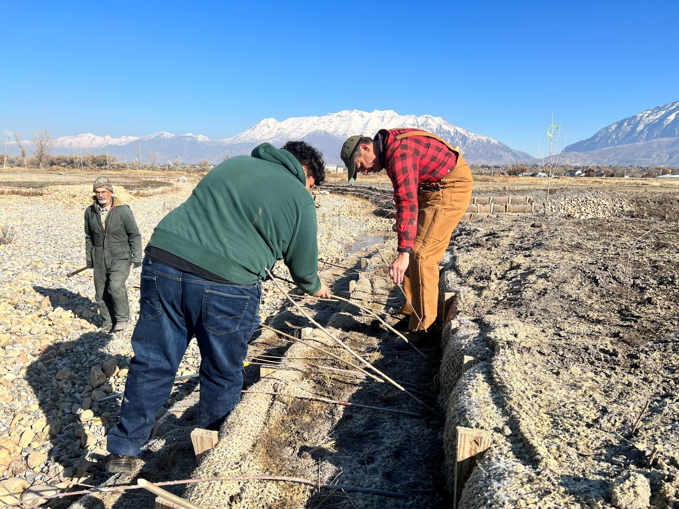  Volunteer anglers and students from Provo Highschool team up to plant willows on newly constructed banks Fall 2022. 