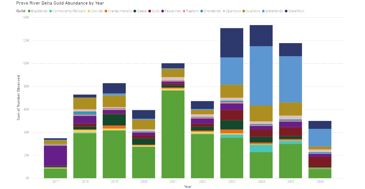 Graph shows abundance by year of various bird guilds in the Provo River Delta from 2017 to 2026