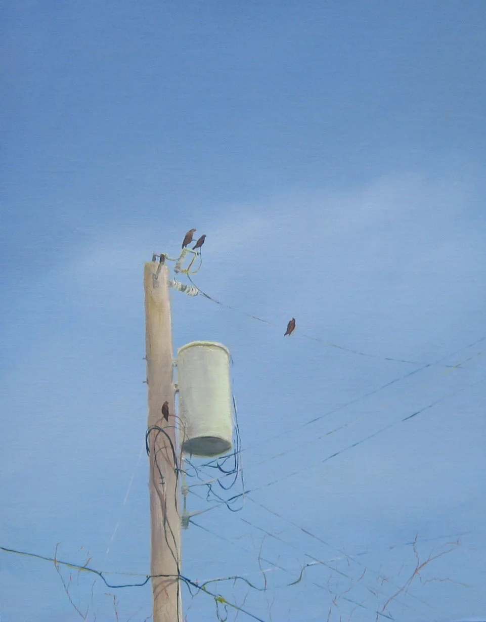 0979 crop, turn.jpg