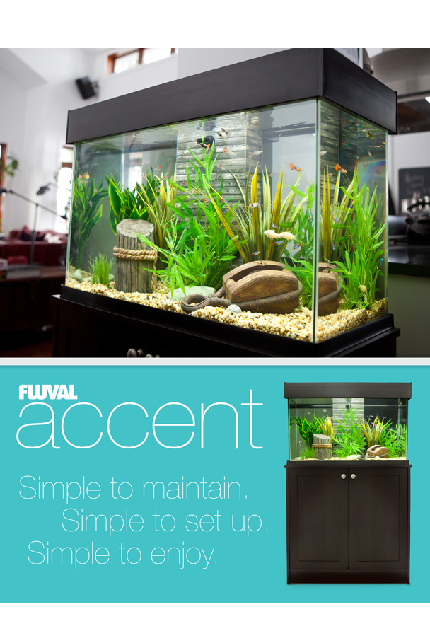FLUVAL_ACCENT_visuels_10.png