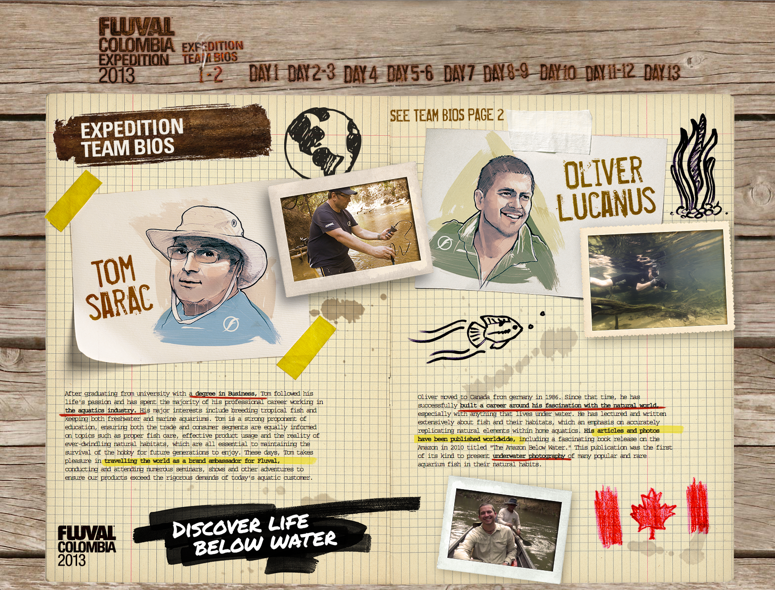 SiteWeb_Pages_01.png
