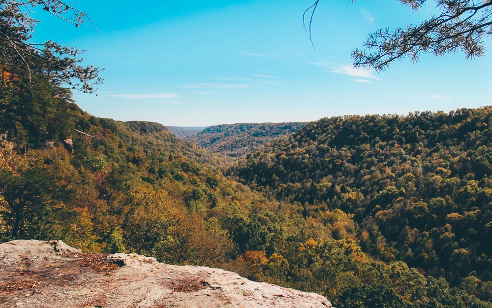The beautiful Tennessee that I leave behind. 