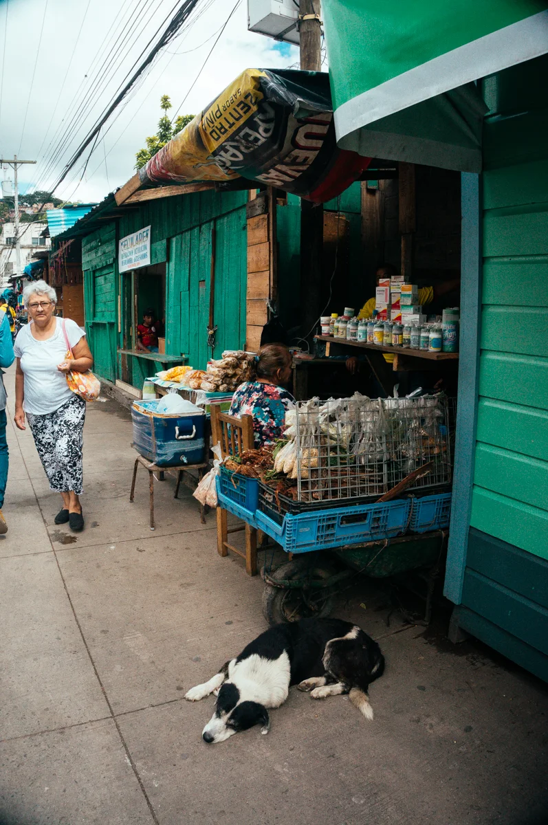 Market Stands & a Dog