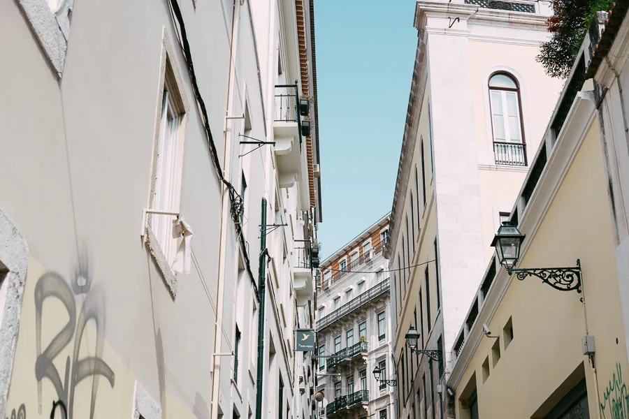 I loved the contrast of white, the jagged edges of the buildings and the sky. 