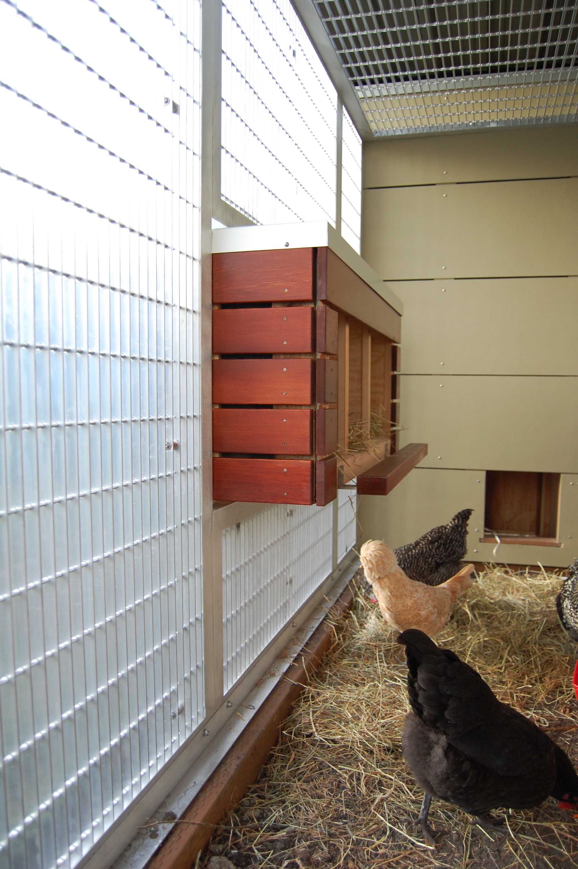  Aluminum chicken coop with a cedar nesting box  Designed by Eggleston Farkas Architecture 