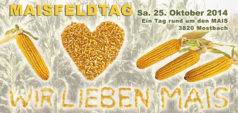 flyer_maisfeldtag_1.jpg