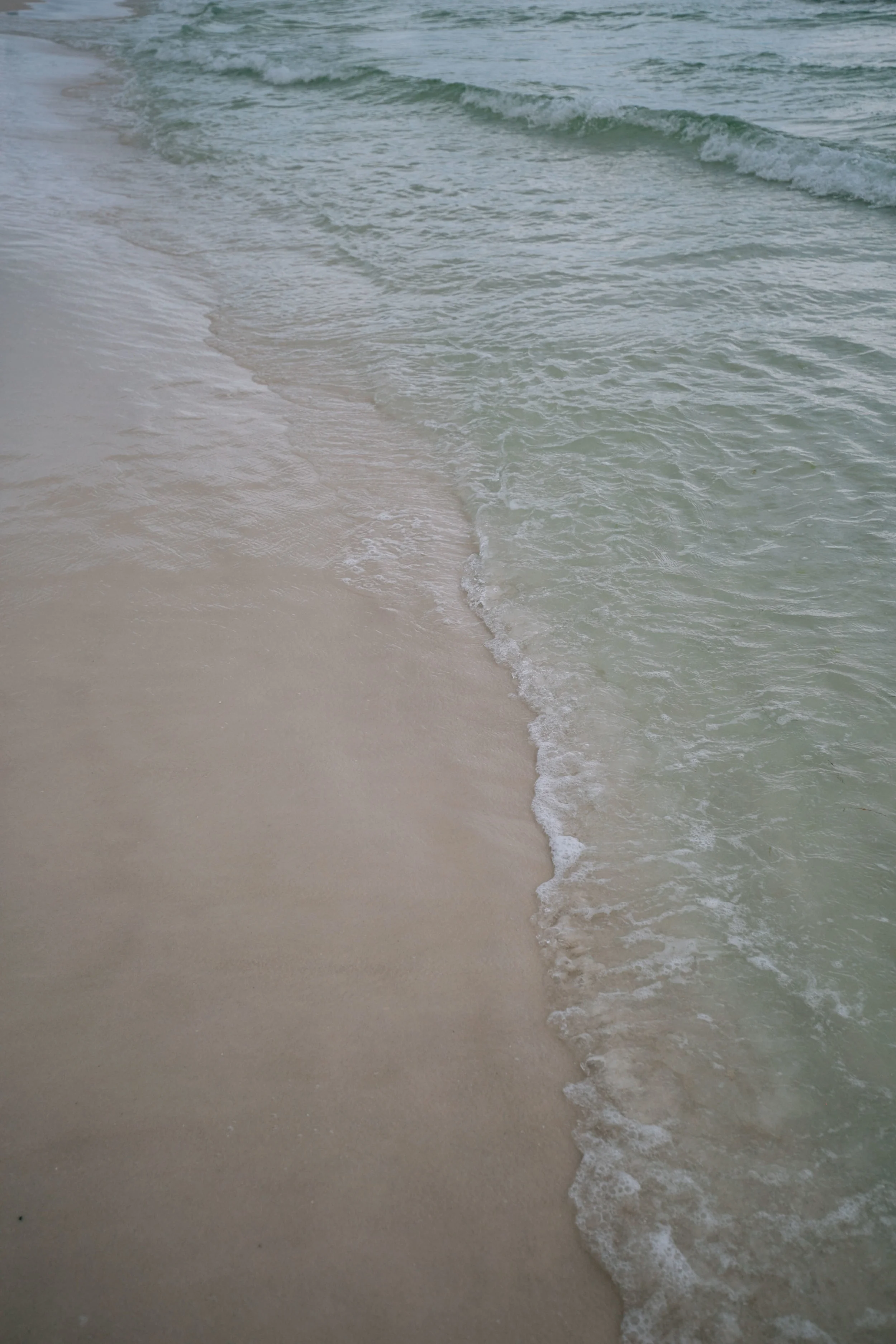 Fleeting Moments by Old Brand New