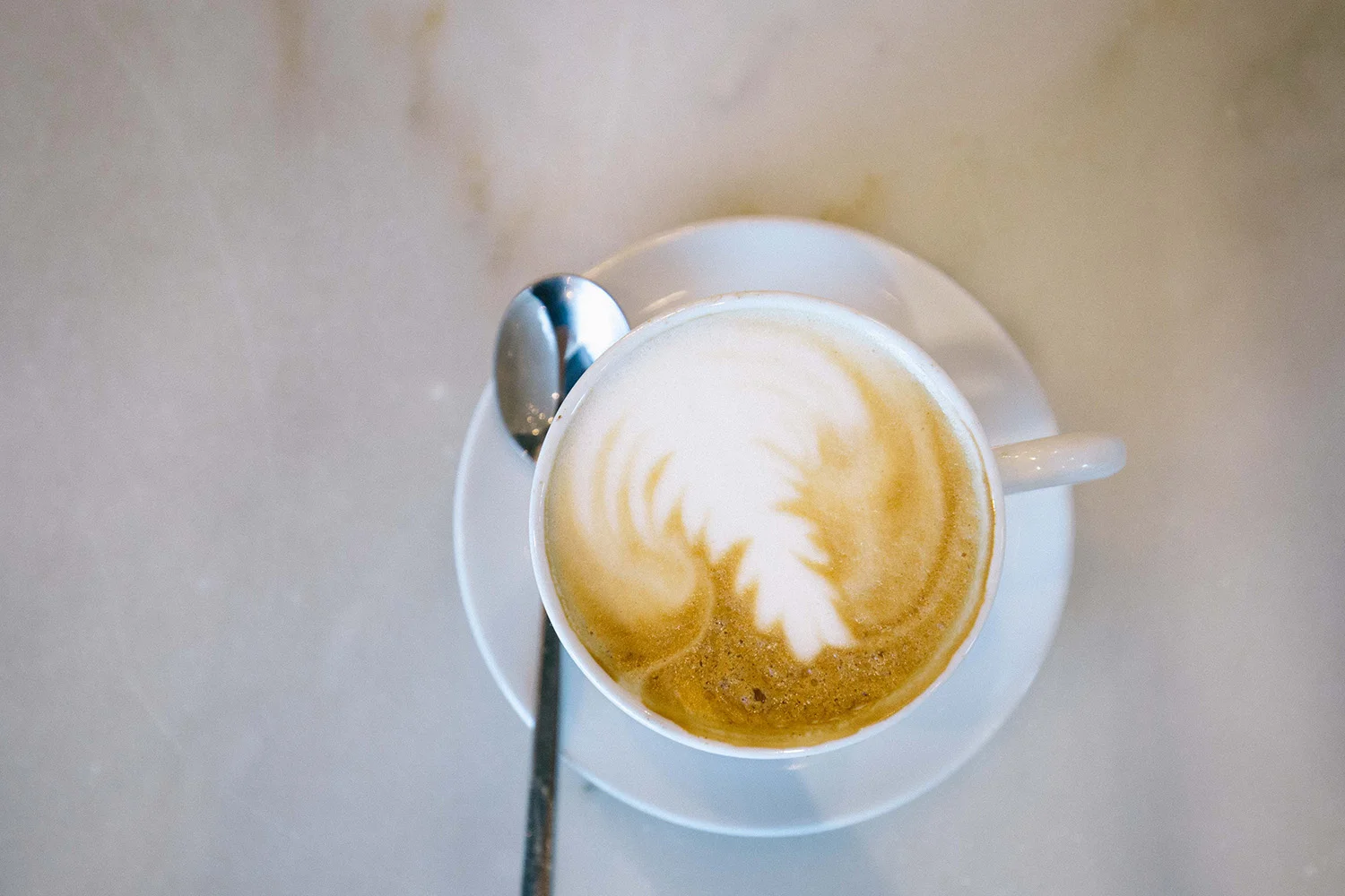 Old Brand New • Le Meridien International Coffee Day